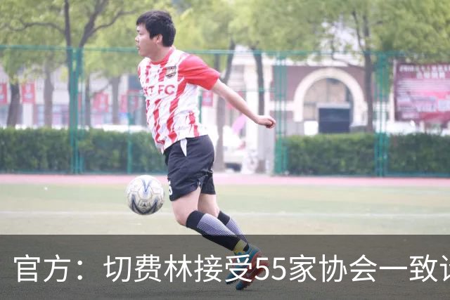 官方：切费林接受55家协会一致请求，寻求连任欧足联主席